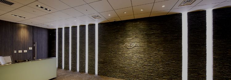 CORPORATE PROFILE