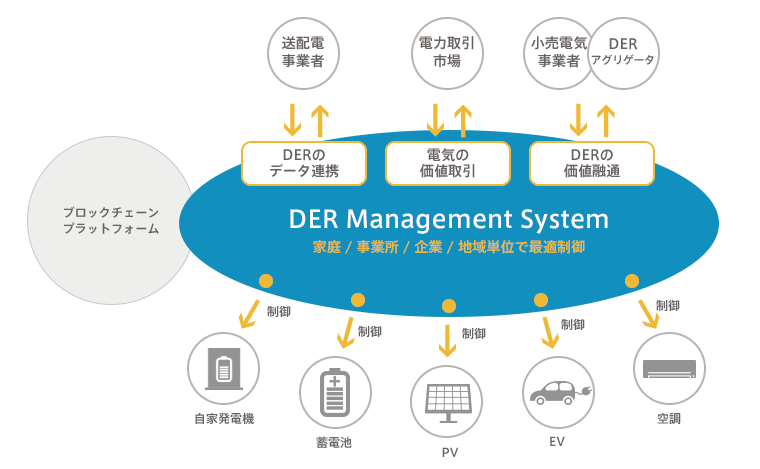 DER Management System