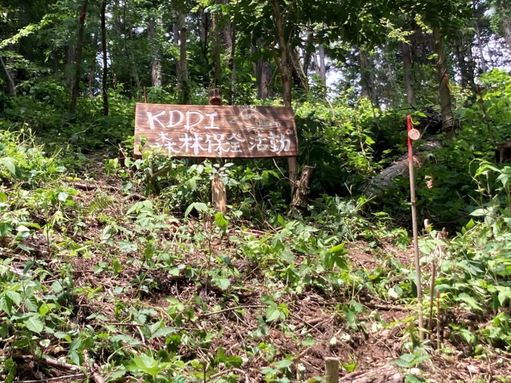 KDDI森林保全活動
