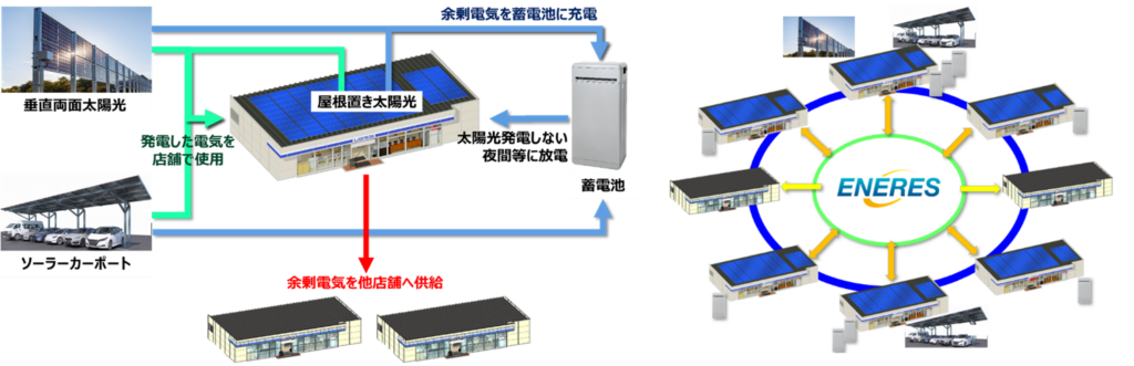 本実証の全体図